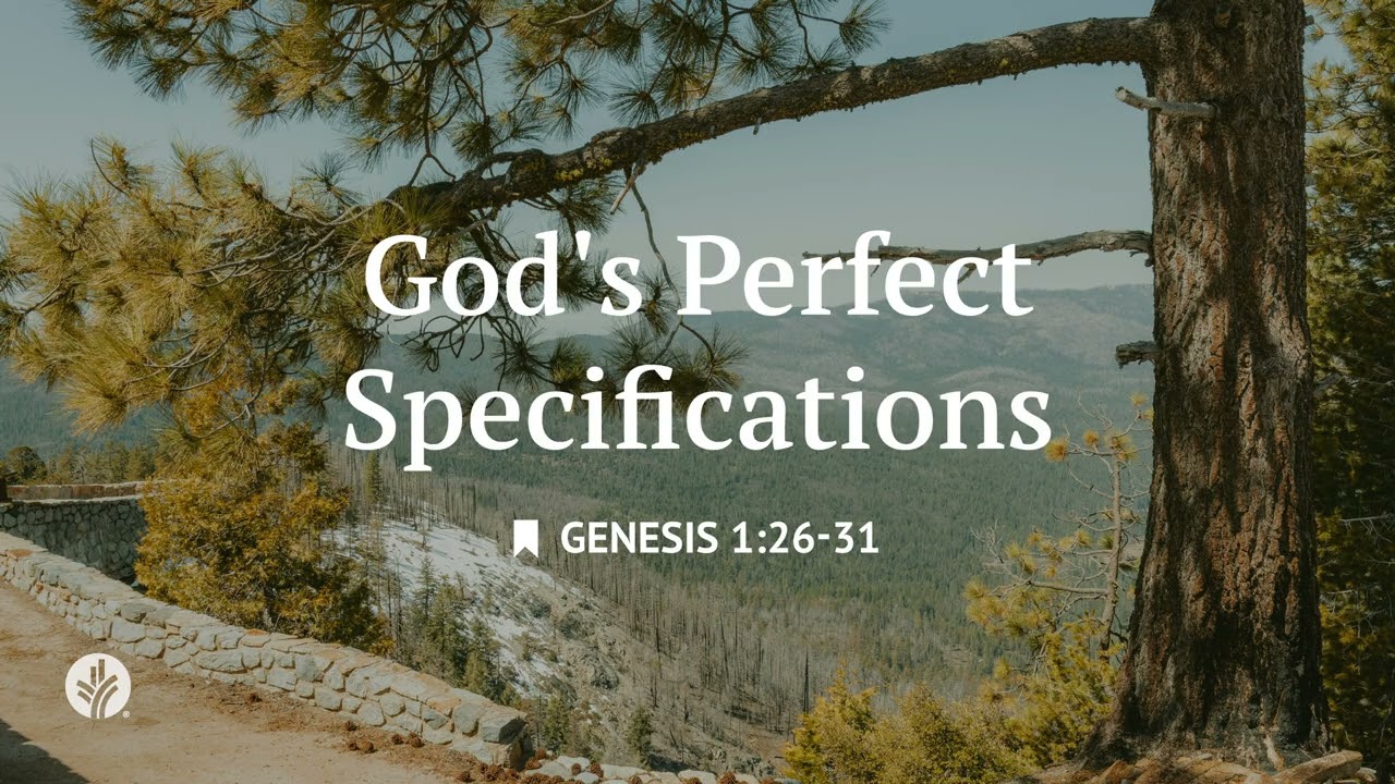 God's Perfect Specifications | Audio Reading | Our Daily Bread Devotional | May 1, 2026