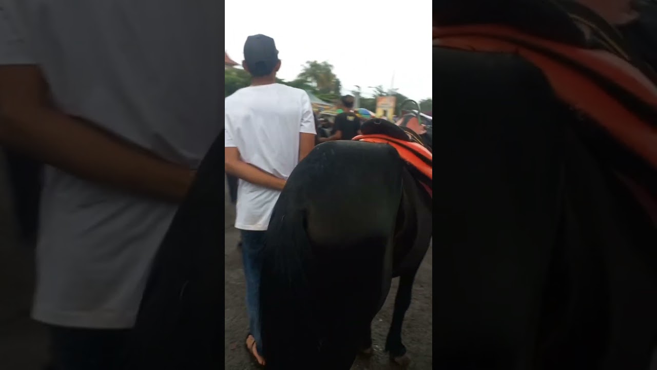 KUDA HITAM DI ALUN-ALUN CONGGEANG