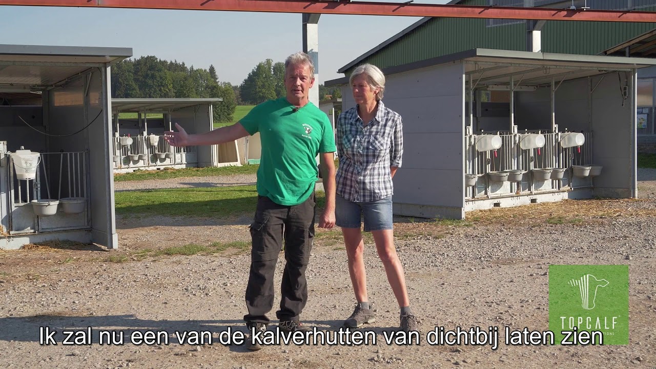Topcalf | De ervaring van de melkveehouder (Nederlandse ondertiteling)