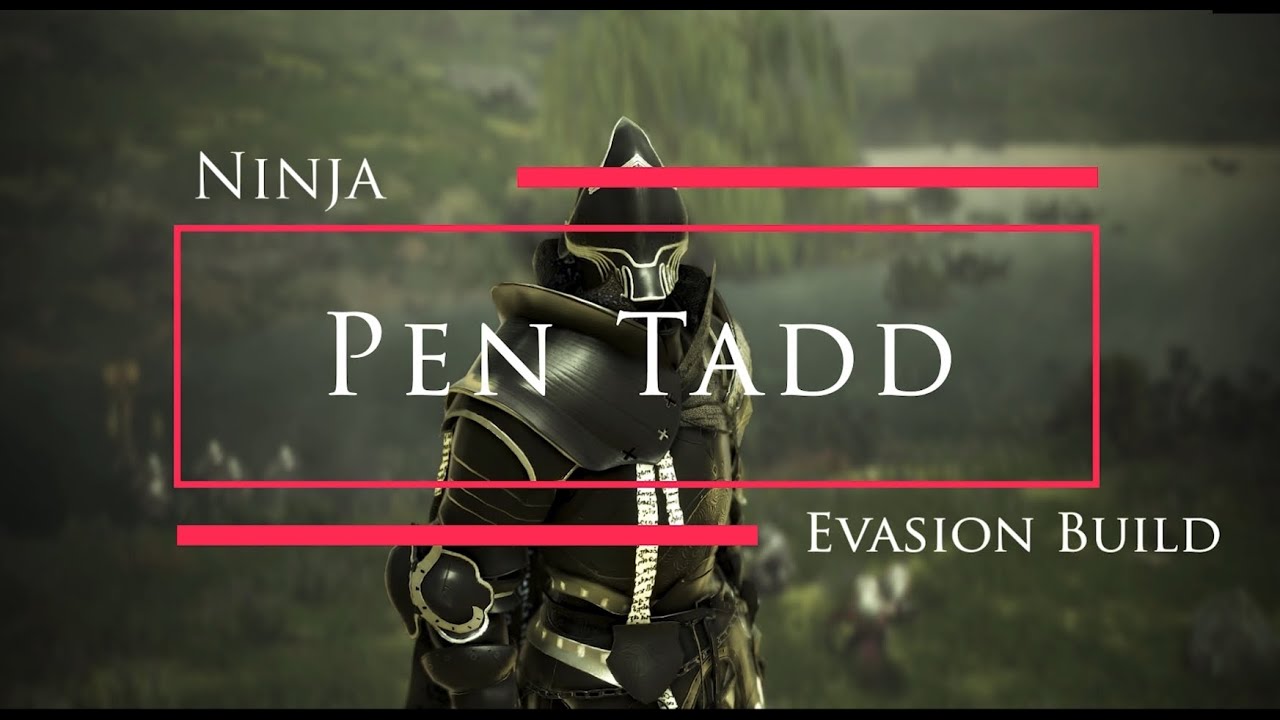 Black Desert Pen Tadd Ninja