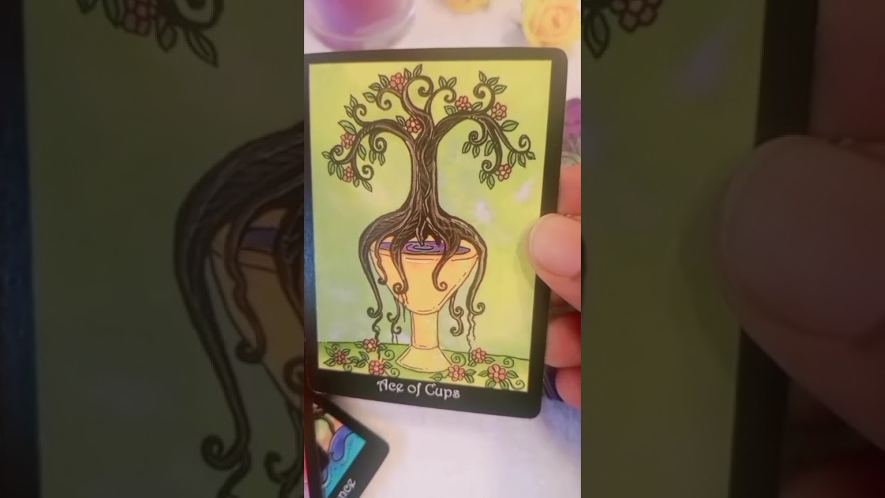 ඔයාගෙ හිතේ ඉන්න කෙනා ඔයා ගැන හිතන විදිය#tarotreading #astrology #fyyppppp #viral #pppppppppppppppp#
