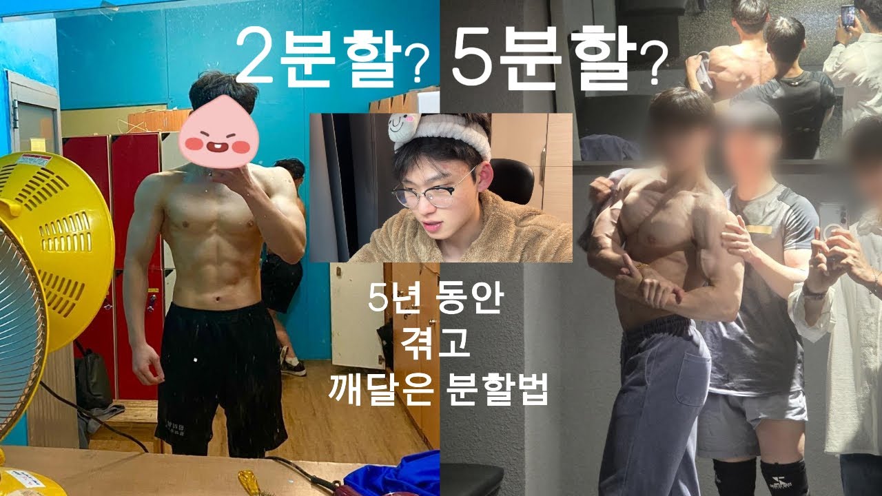 5년 헬스하며 모든 분할을 시도해봤습니다 (결론 공유)