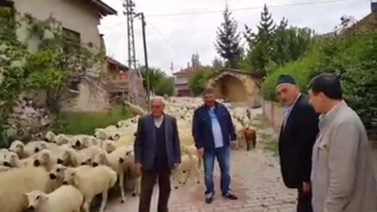 Aşaği tekke  köyü . Con Babam