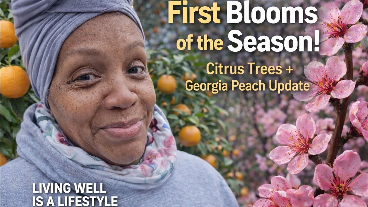 First Blooms of the season! Citrus and Georgia peach update.