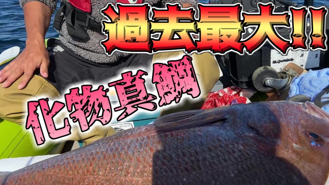 【ゴムボート釣り】化け物級の陸奥湾 真鯛！ドラグが止まらず針も伸ばされる！