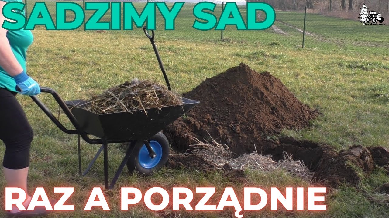 Jak sadzić drzewka i krzewy owocowe w trudnej ziemi. Sadzimy sad raz a porządnie