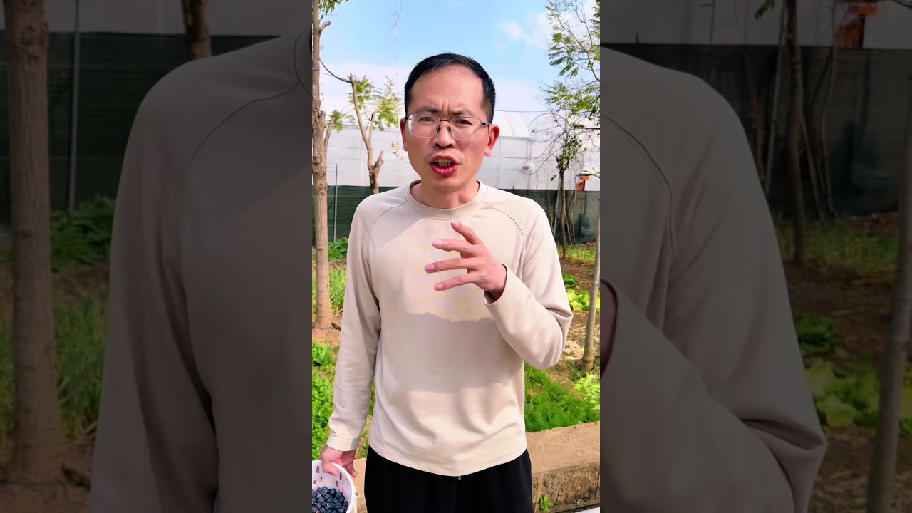 现在的蓝莓又香又甜，美中不足的是脆度差一点W