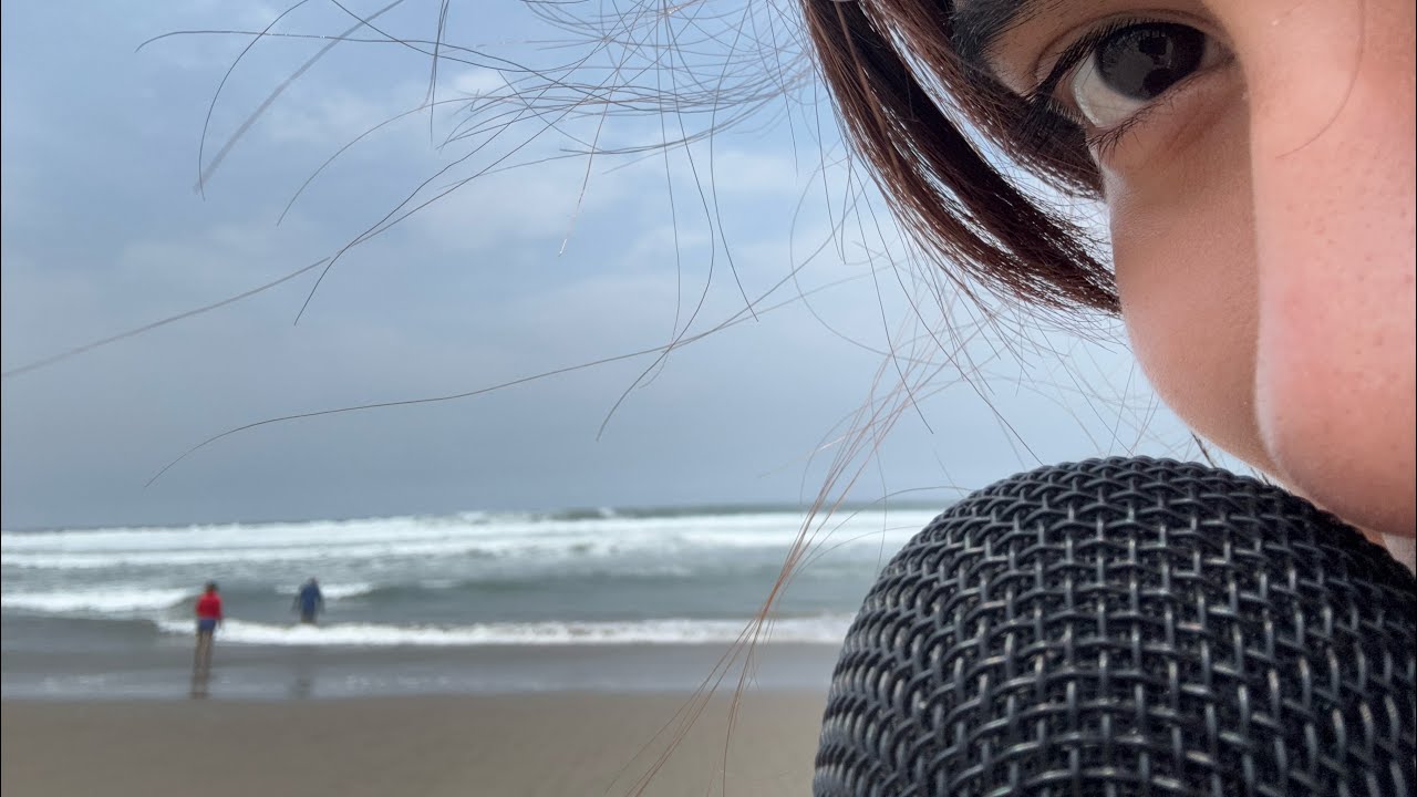  ݁ ۪࣪ ִֶָ☾ ˖𓂃.₊𖥔ASMR en la playa °‧ 𓆝 𓆟 𓆞 ·｡||sonidos del mar, la arena y susurros