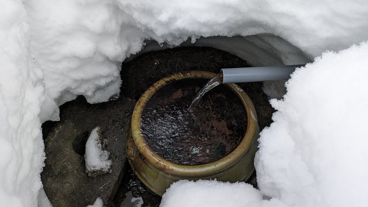 【マチコデラックス】桂の名水 ニセコ 湧水 2024年2月4日