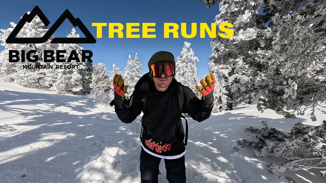 TREE RUN AT BIG BEAR MOUNTAIN CALIFORNIA RAW | SNOWBOARDING