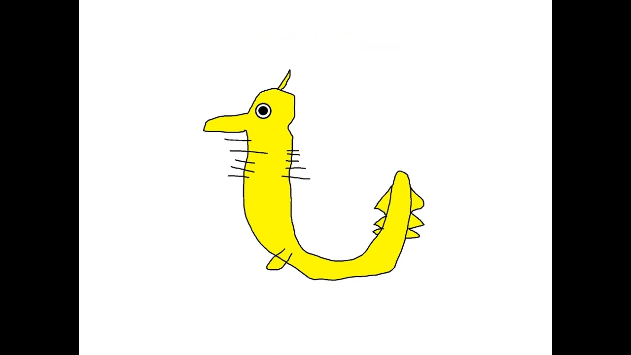 Animals Under The Sea Book Version - The Kids' Picture Show