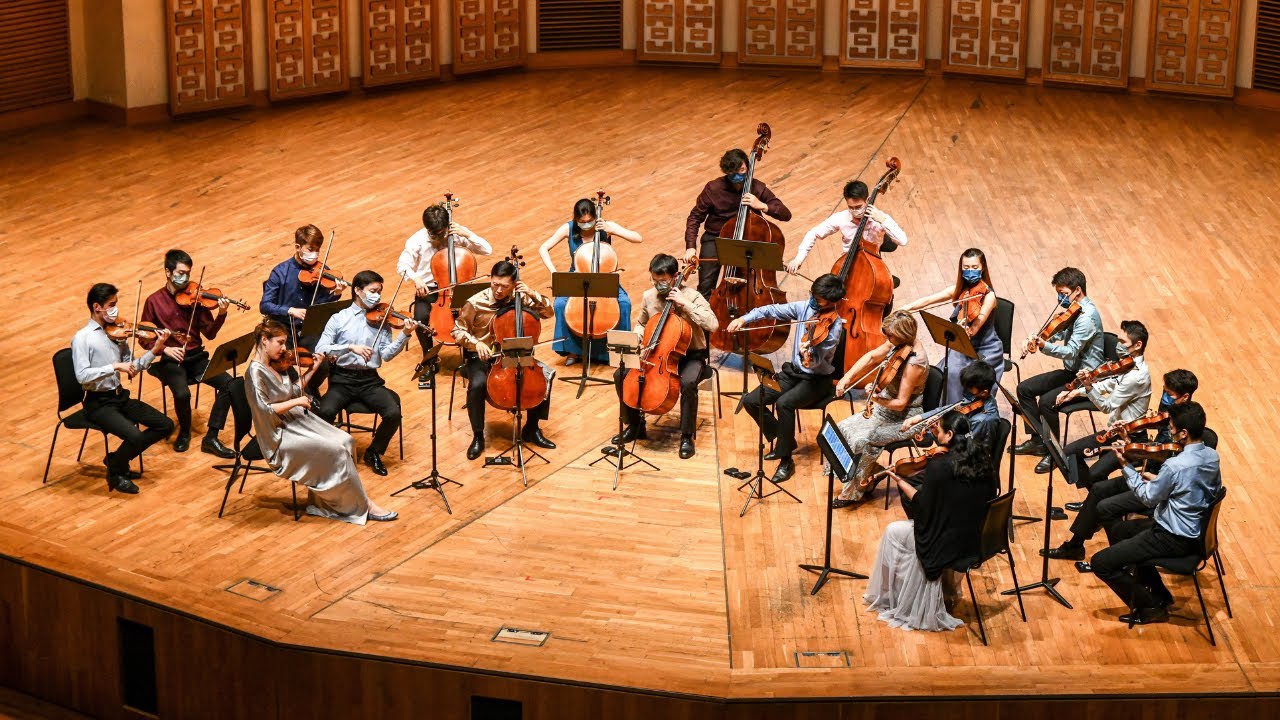 Dvoř&aacute;k: Serenade for Strings in E, Op.22 - I. - Musicus Soloists Hong Kong | Musicus Fest 2022