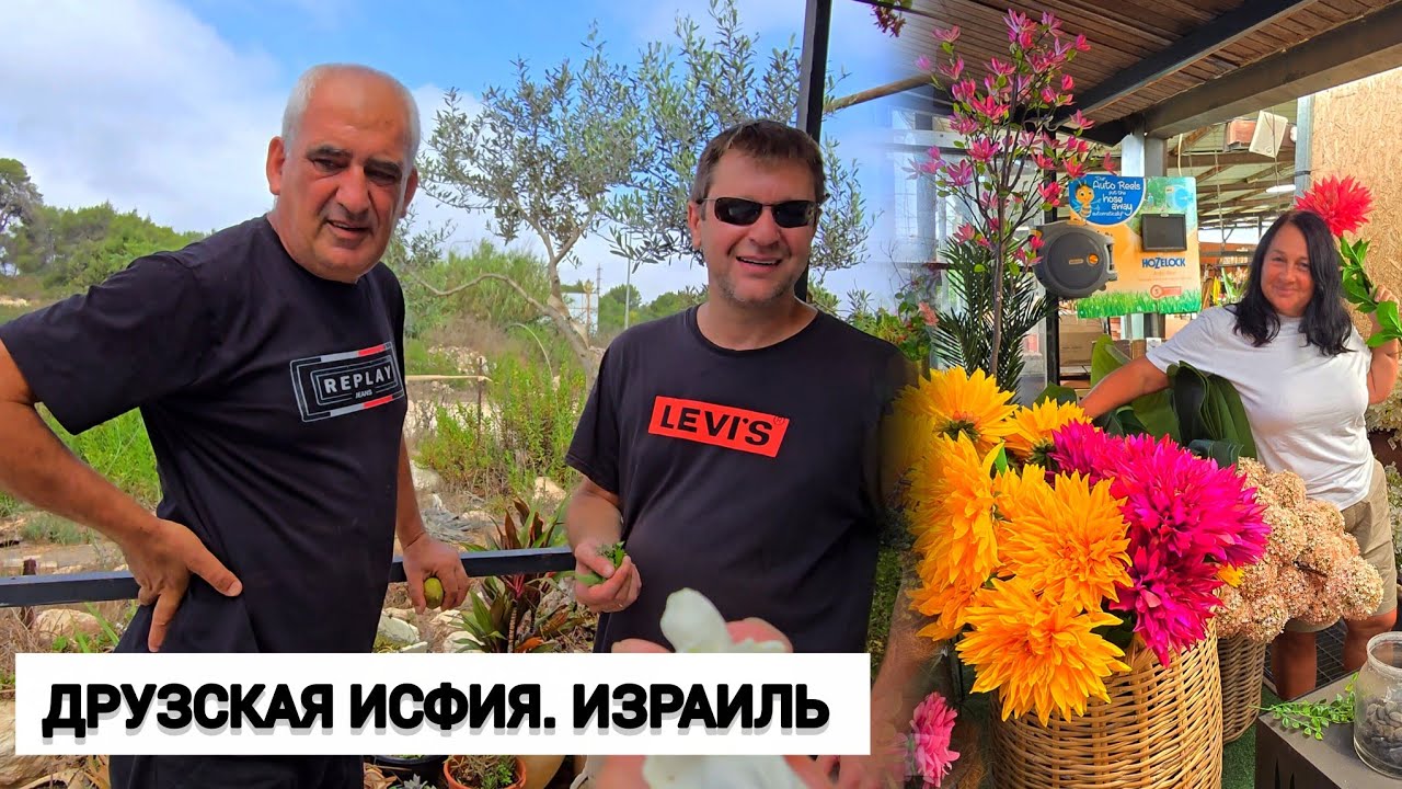 Нашли это тут. Выходной в Исфие. Море цветов, вкусная еда, местный колорит. Жизнь в Израиле 