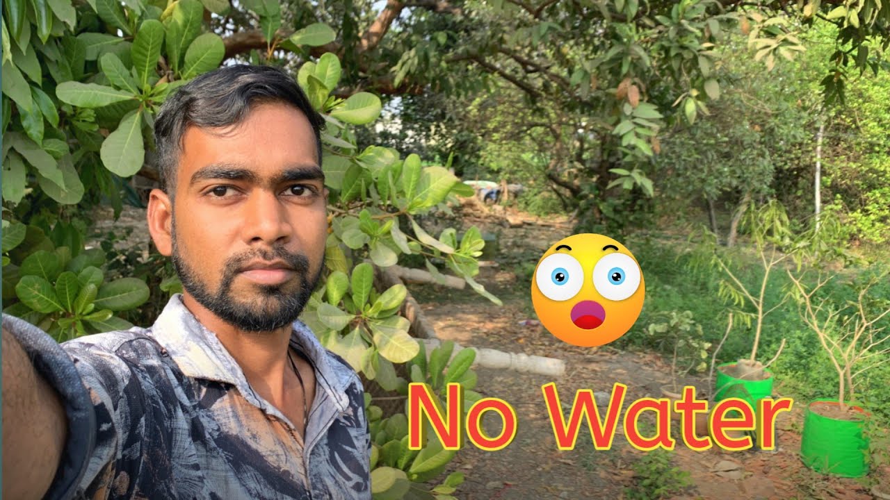 Bina Paani 7 Din! Ye Garden Kaise Safe Rahega? 😳