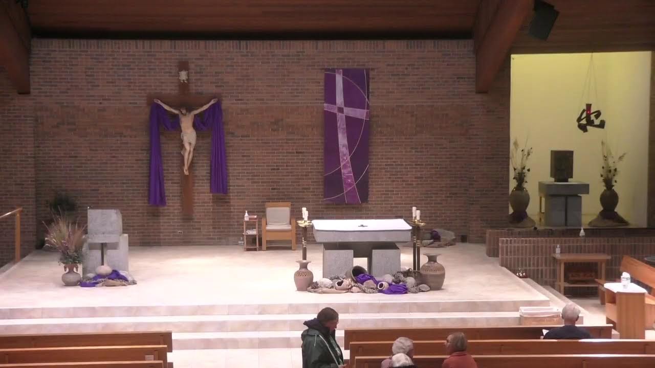 Live Stream