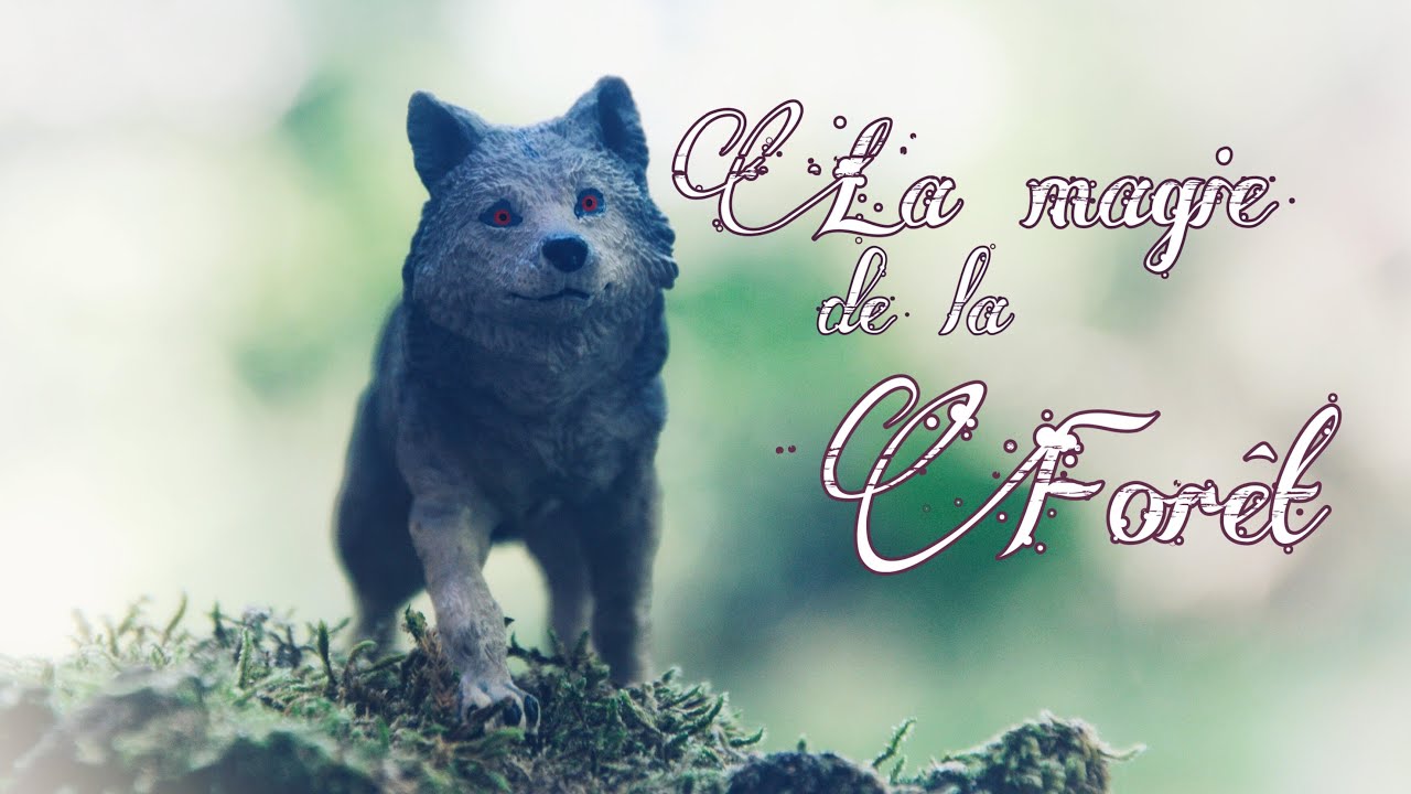 On vous emmène en shooting photos dans la forêt (w/mon frère)