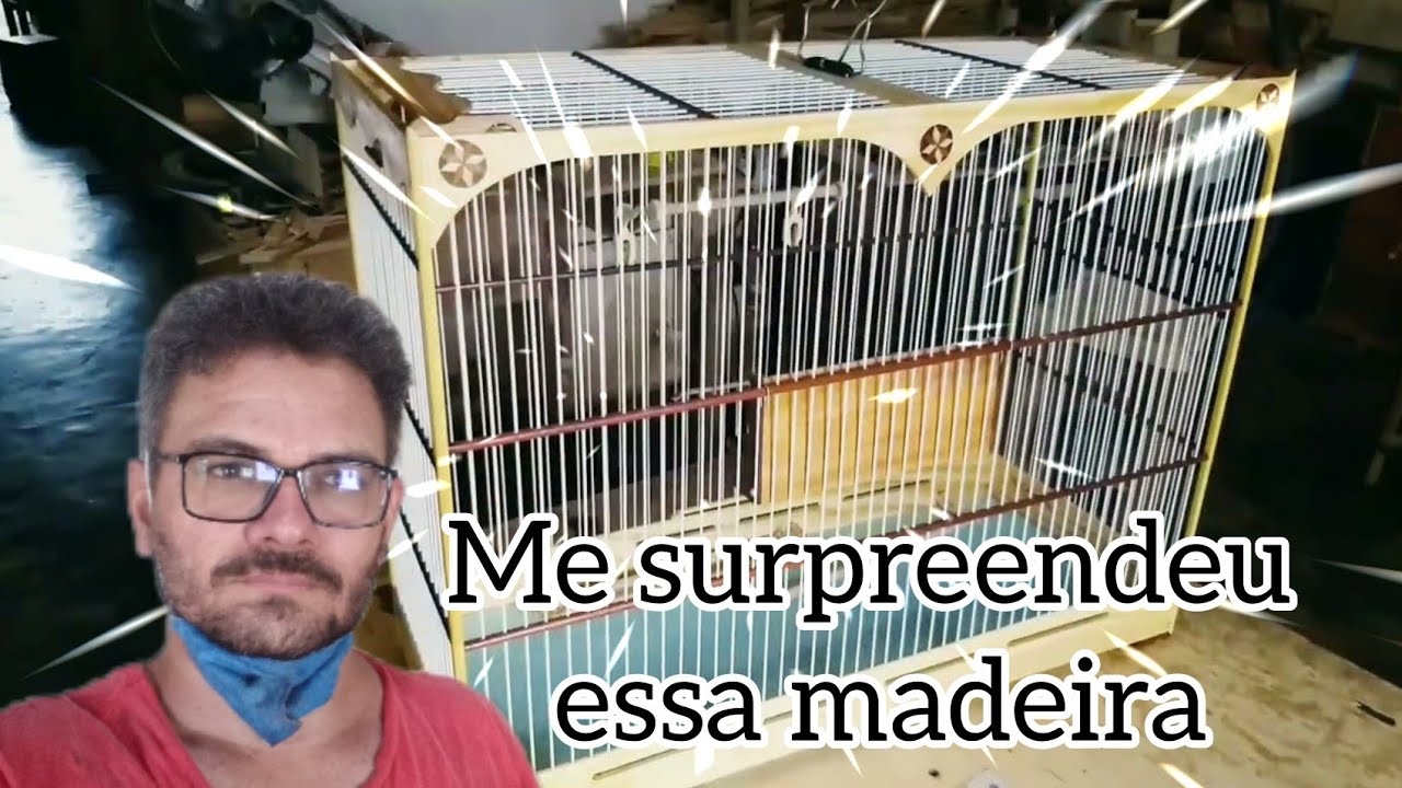 Mas duas gaiolas de pinus concluída