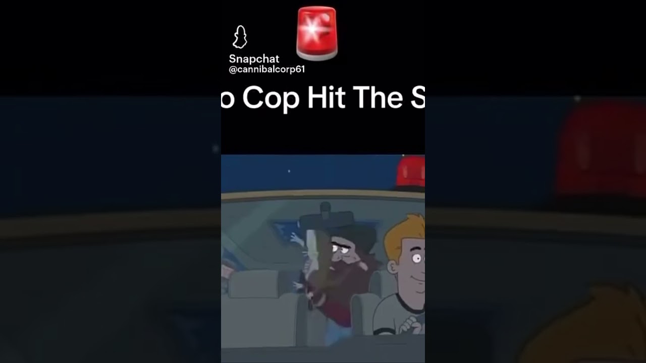 Hobo cop hit  the siren