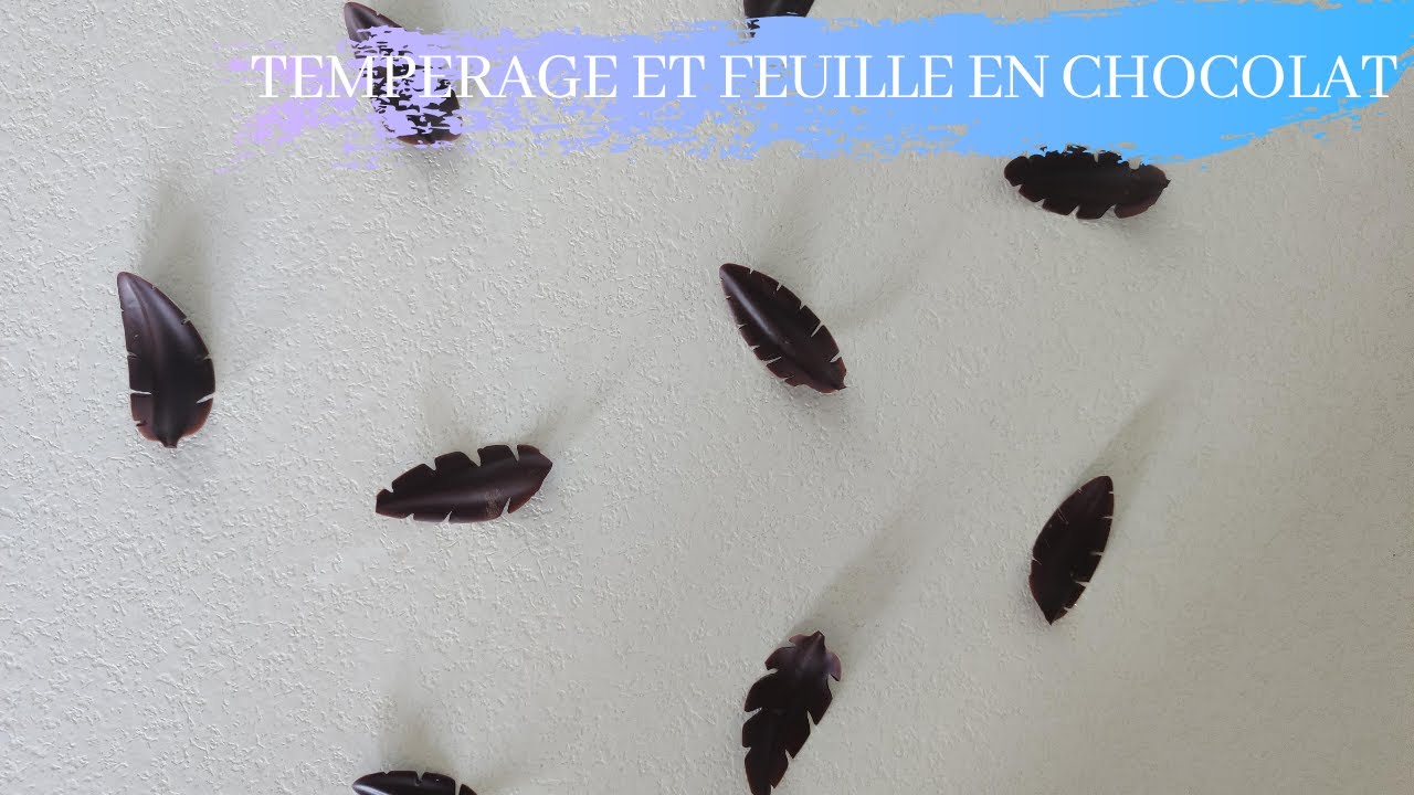 COMMENT / POURQUOI TEMPERER LE CHOCOLAT (BONUS FEUILLE EN CHOCOLAT)