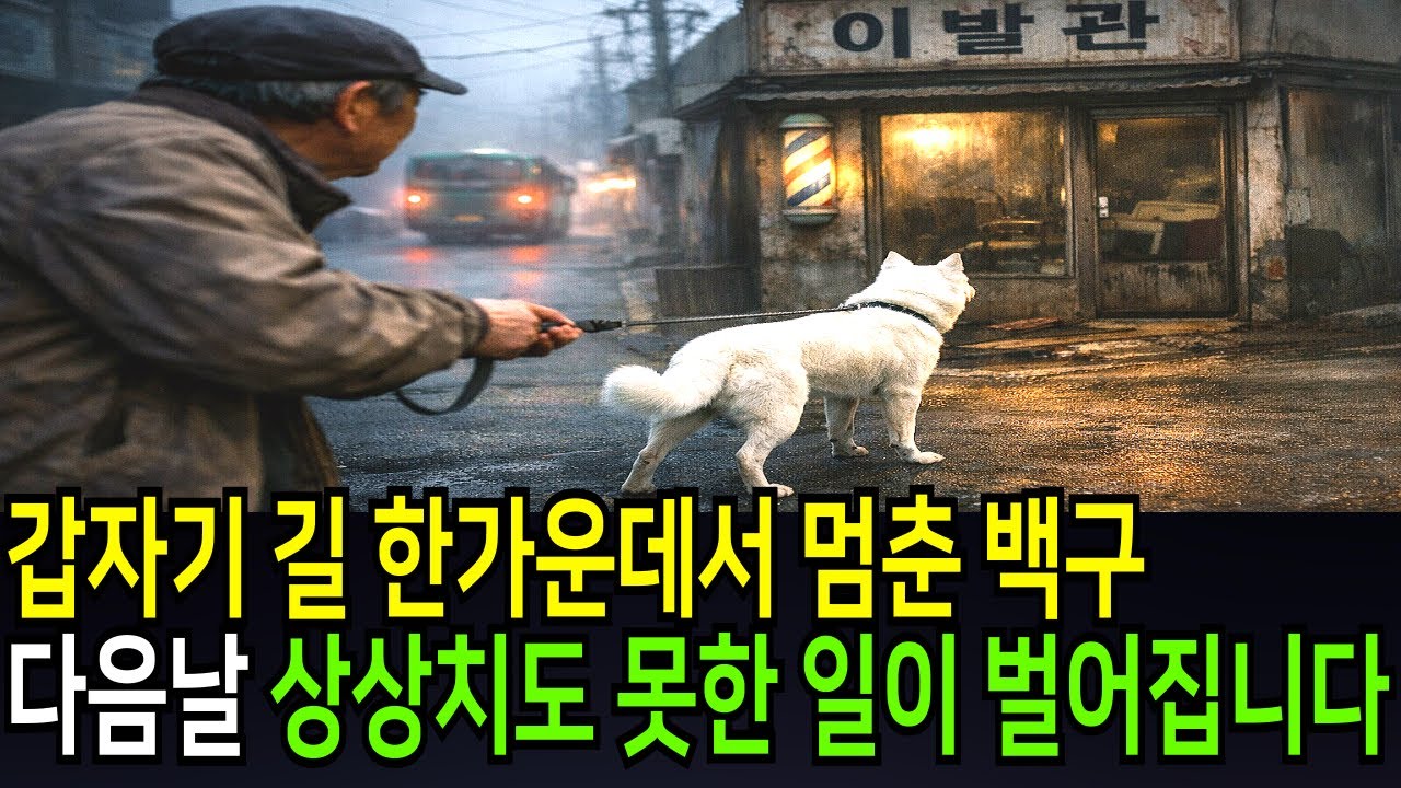 갑자기 길 한가운데서 멈춘 백구... 다음 날 상상치도 못한 일이 벌어집니다