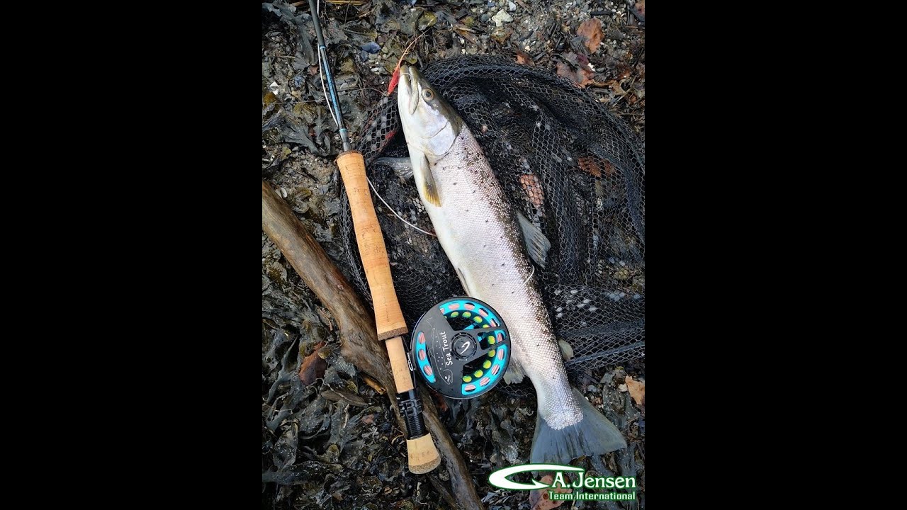 Havørredfiskeri Gl. Ålbo - og Test af A. Jensen Spook Seatrout fluestang