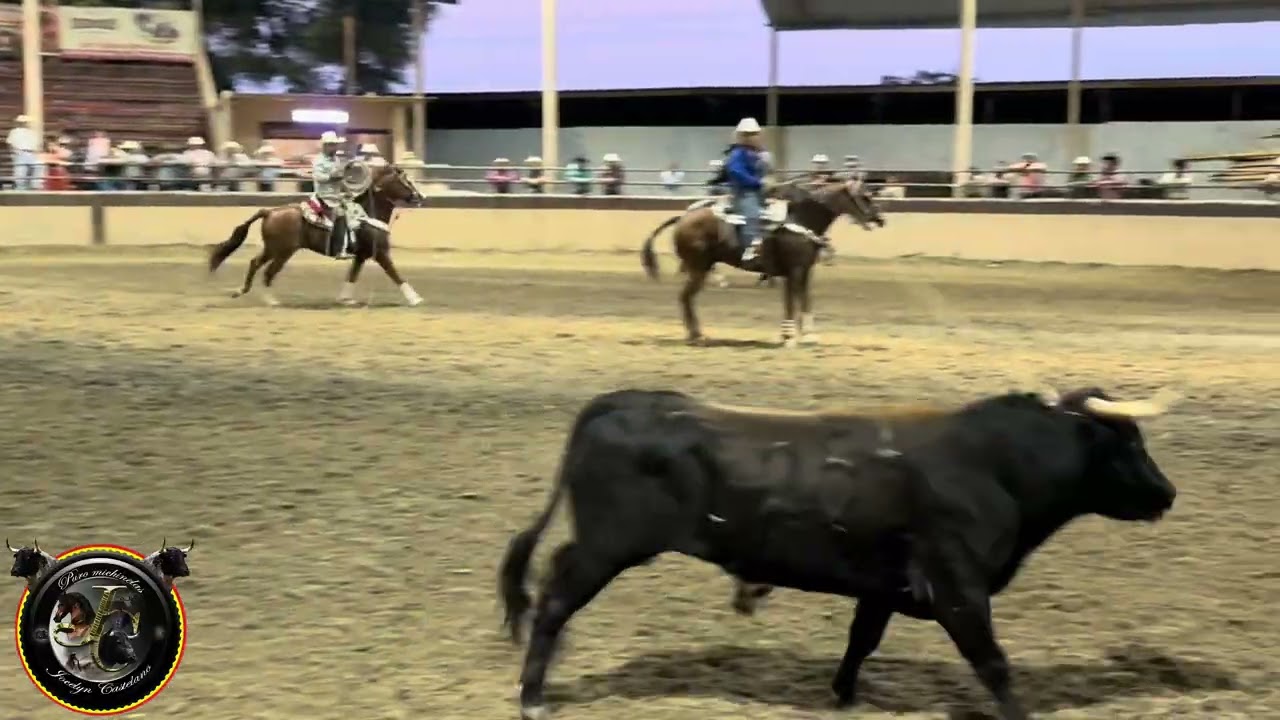 Sale herido el caballo de Felipe ‼️Los Herederos de Waller, Tx 🐴 vs. El Turco - El Portugués