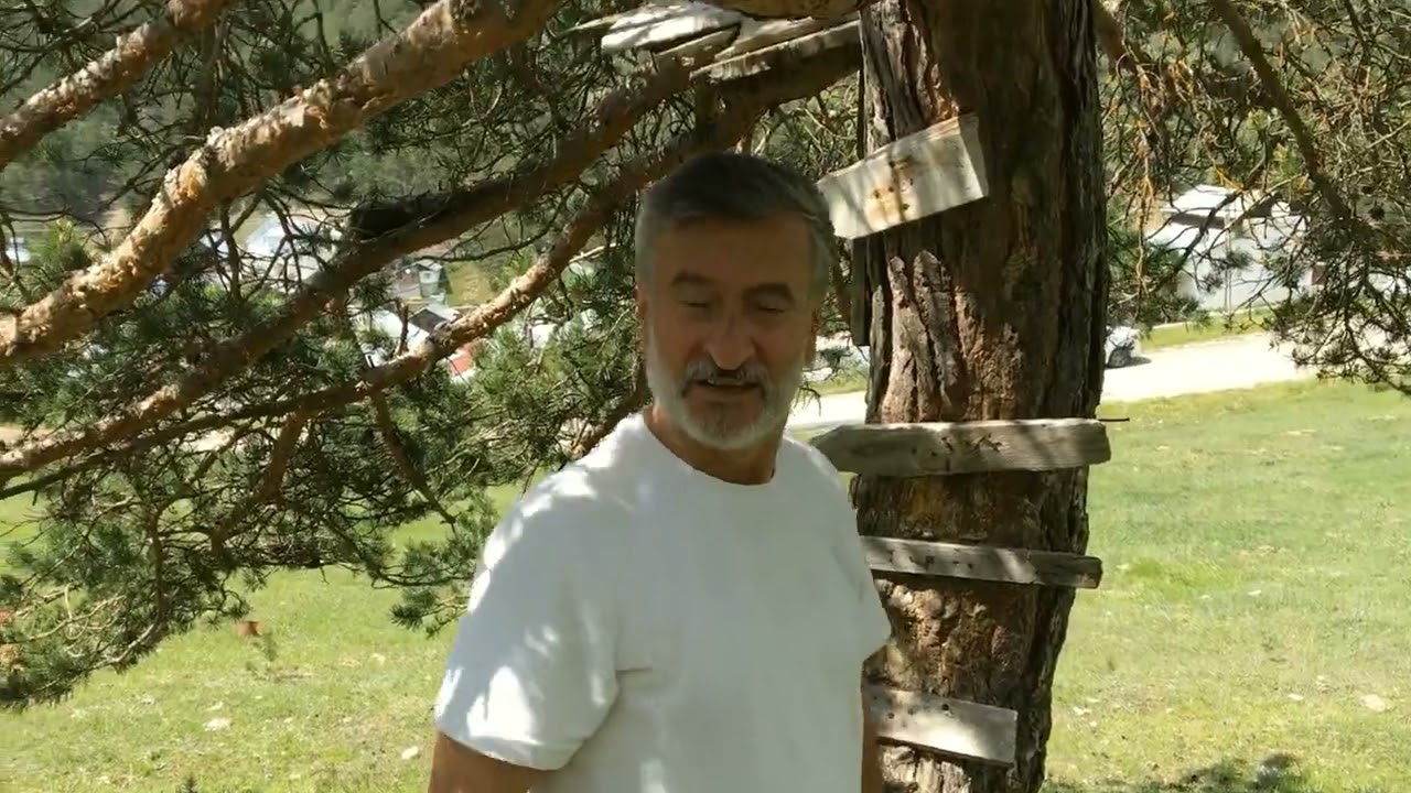 EĞRİÇİMEN YAYLASI