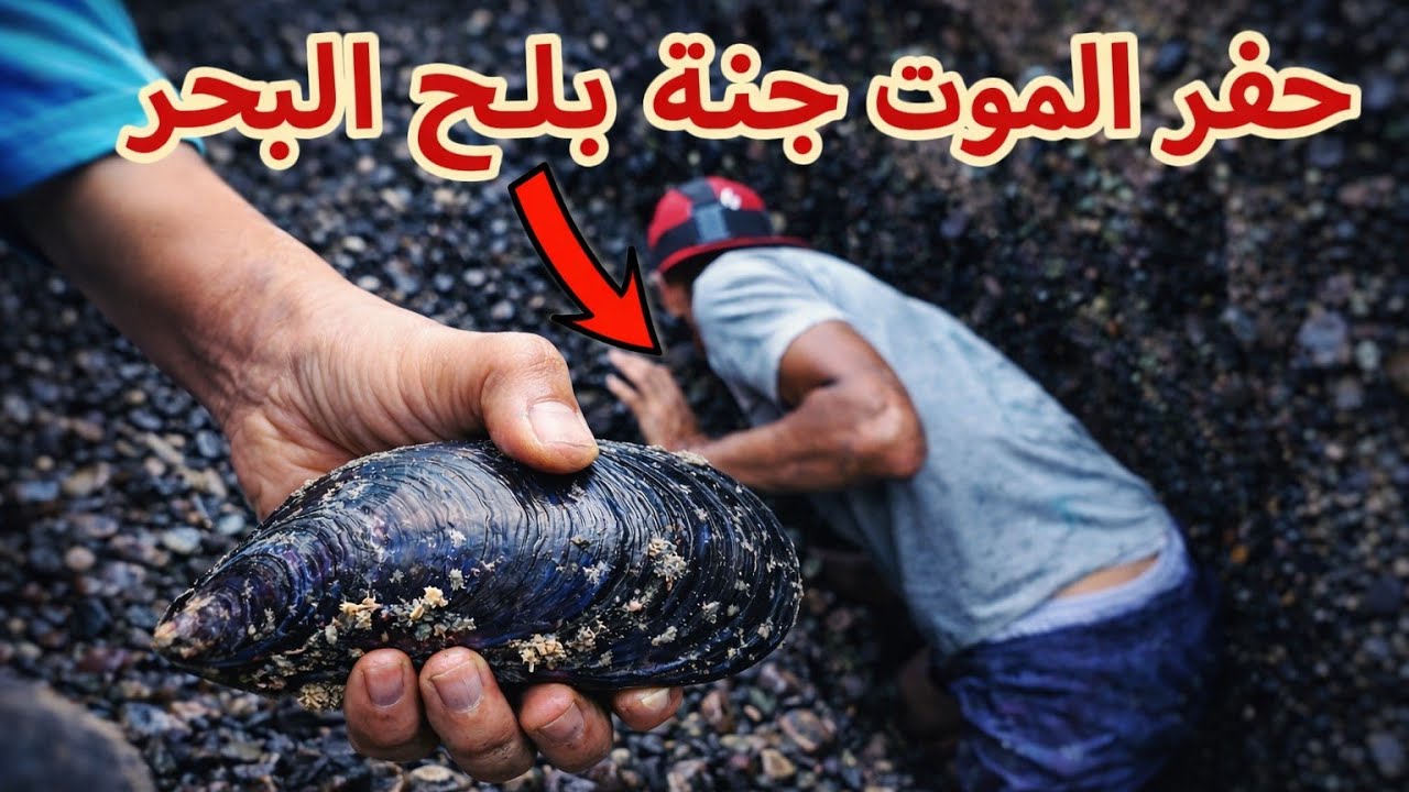 لن تصدق الوصفة التي طبخنا في هذا الفيديو سوشي على طريقة طباخ عالمي (صيد وطبخ)