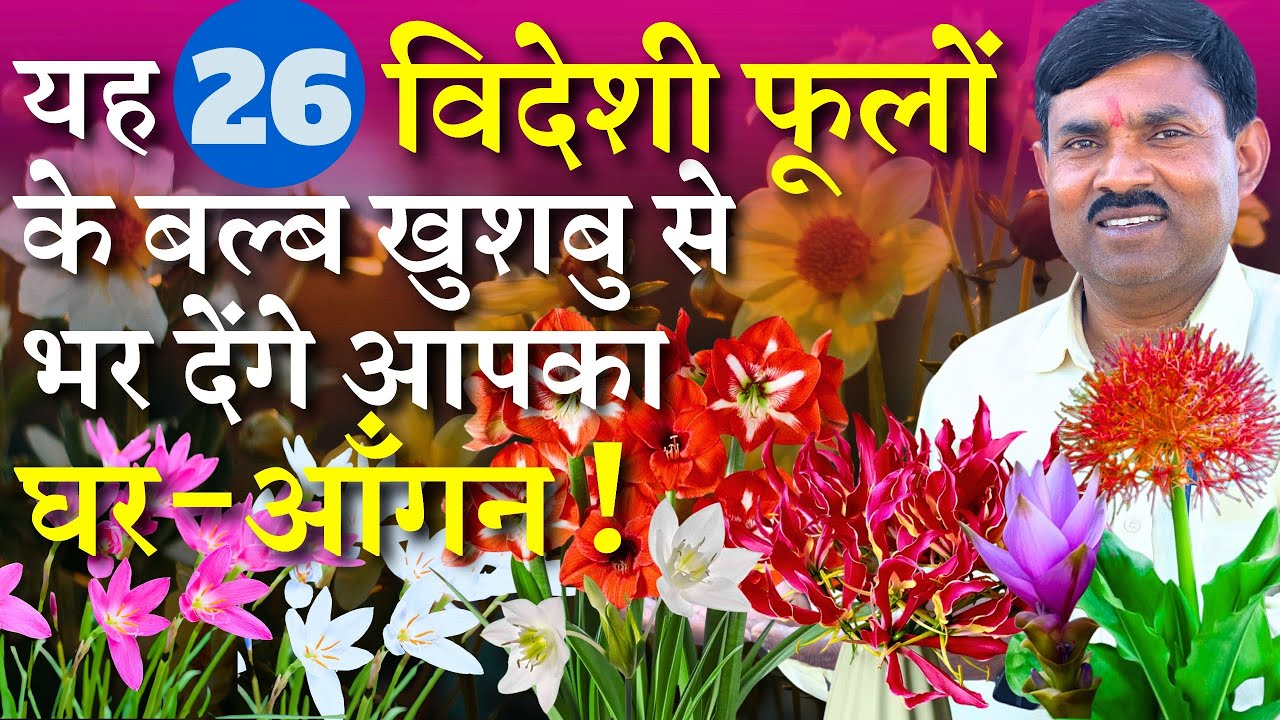 यह 26 विदेशी फूलों के बल्ब खुशबु से भर देंगे आपका घर-आँगन || Best and Unique 25 Summer Flower Bulbs