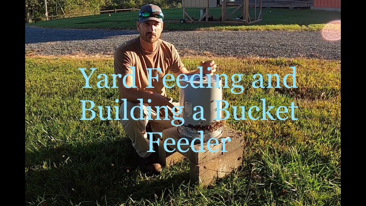 Yard Feeding and Building a Bucket Feeder