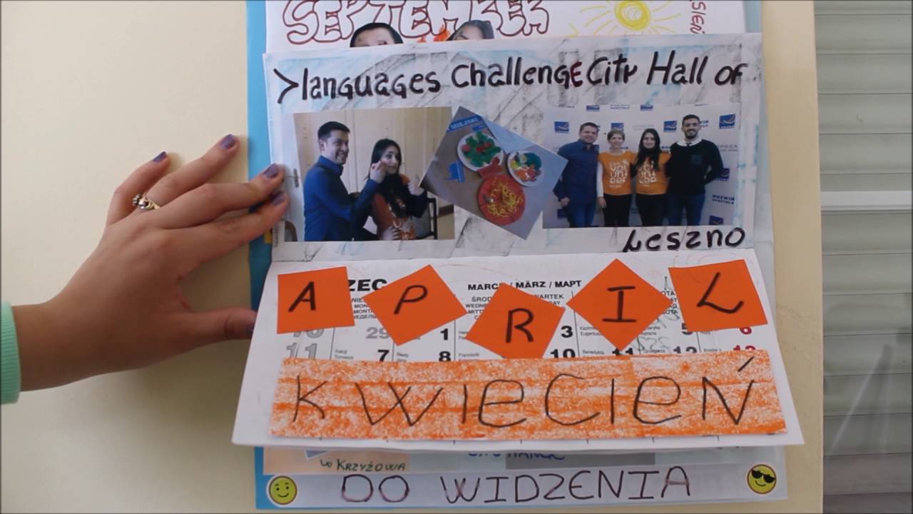 Luiza's final report (Long Term Volunteer)