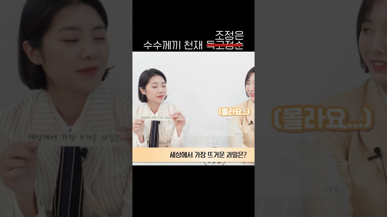 수수께끼 천재 #조정은 #shorts