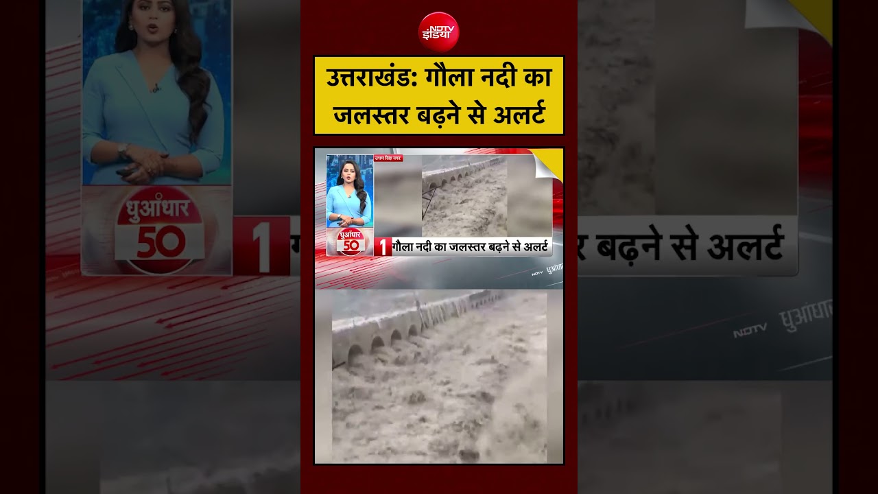 Viral Video | उत्तराखंड: गौला नदी का जलस्तर बढ़ने से अलर्ट | Uttarakhand Flood #viral #uttarakhand