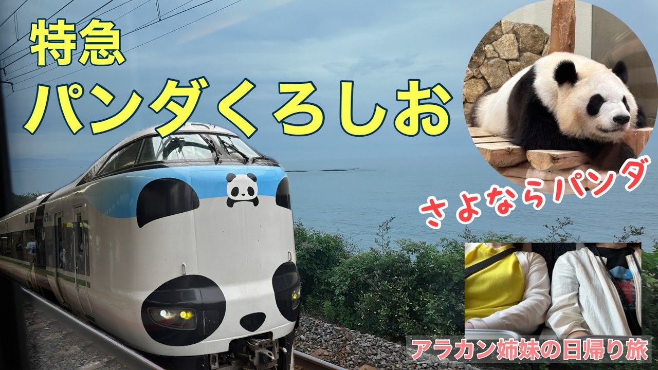 特急パンダくろしお号に乗って、さよならパンダに会いに行く【アラカン姉妹の日帰り旅】