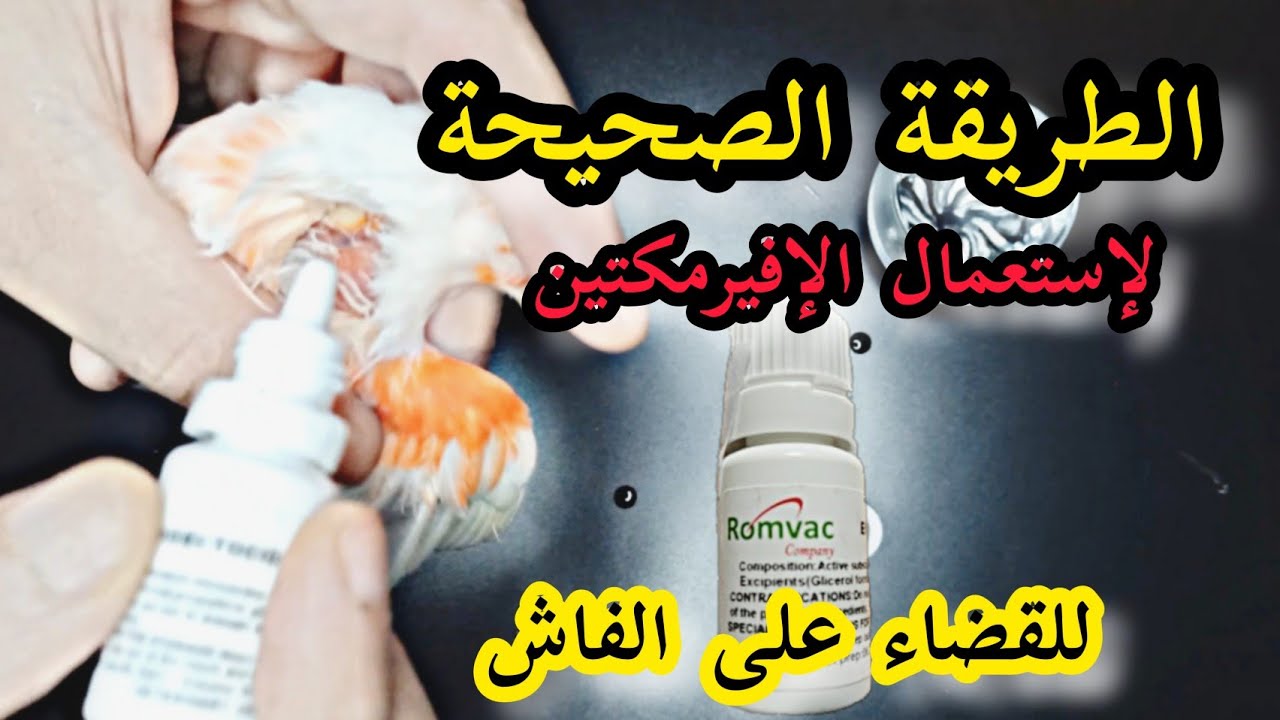 الطريقة الصحيحة لإستعمال الإفيرمكتين و القضاء على الفاش L'ivermectine