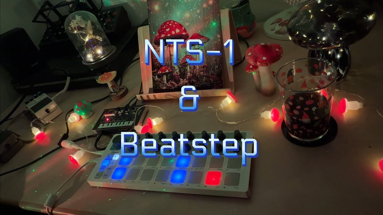 This Is Fun - NTS-1 & Arturia Beatstep