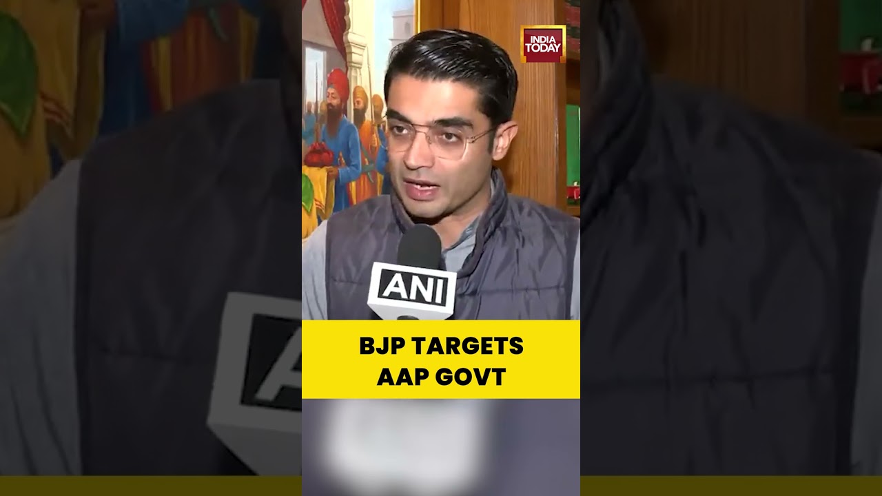 BJP Leader Jaiveer Shergill Slams AAP Govt, Calls Punjab &lsquo;Gangster Raj&rsquo; After Worker Killing
