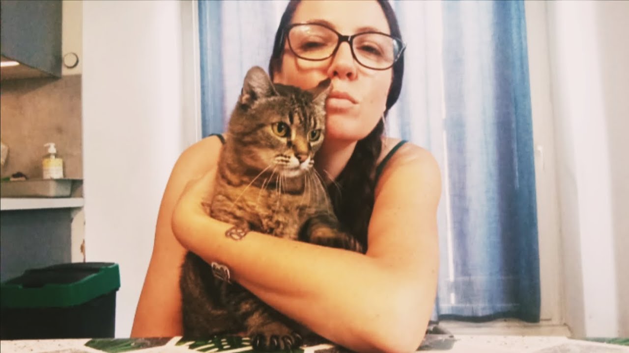 ⭐RETOUR DE COURSES LECLERC⭐💵120€ au DRIVE, LILOU est contente😄😻