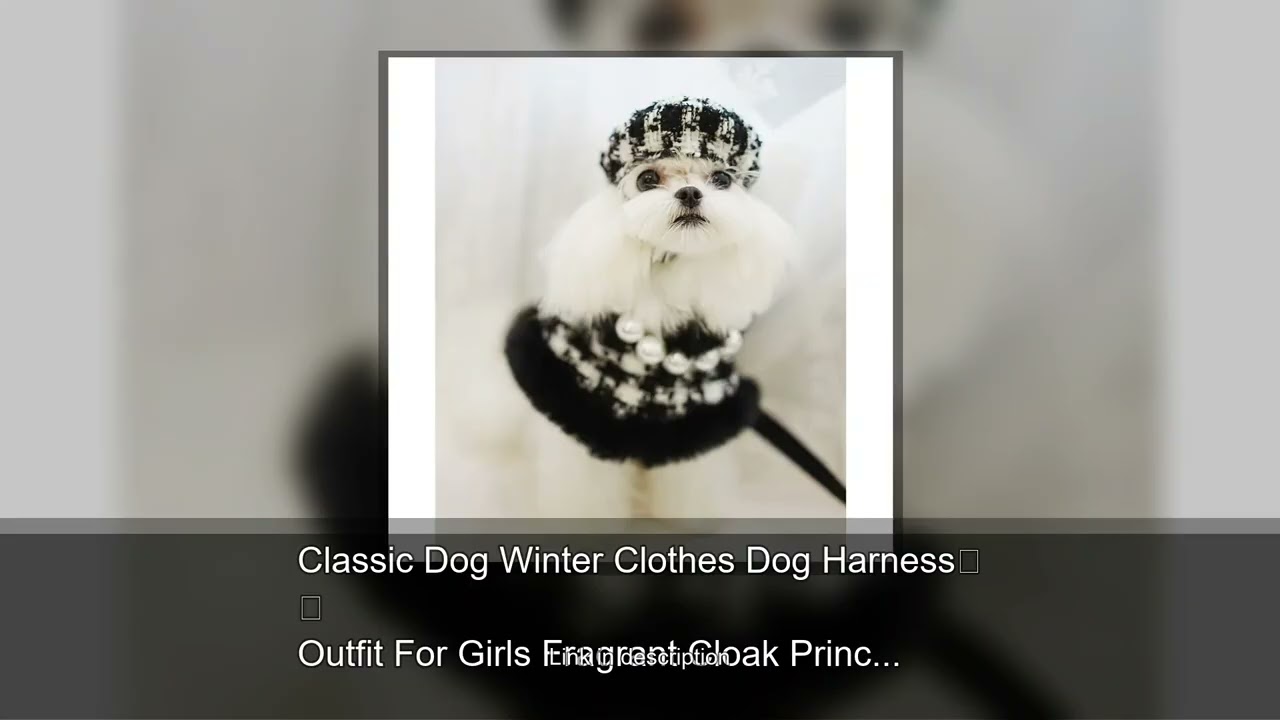 Classic Dog Winter Clothes Dog Harness Outfit For Girls Fragrant Cloak Princess Puppy Cats Ches