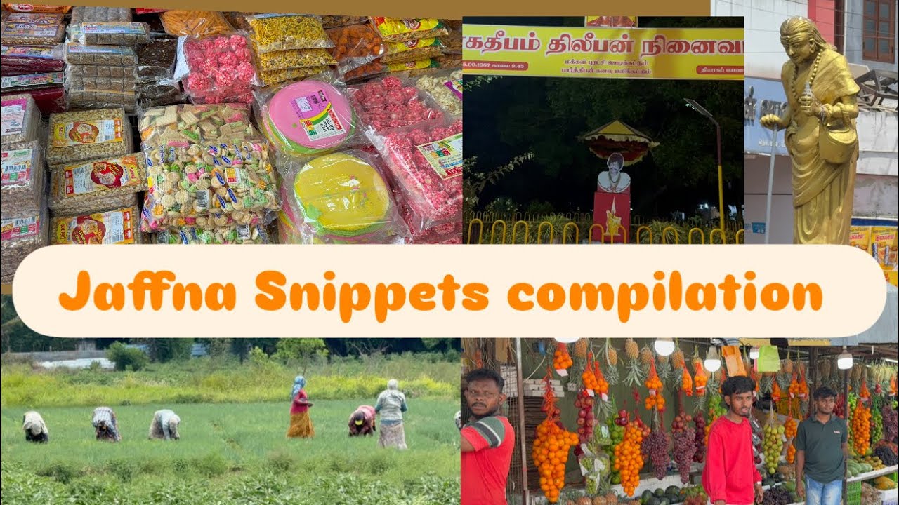 Jaffna Sri Lanka | Jaffna videos | Jaffna snippets | memories made in Jaffna - compilation 