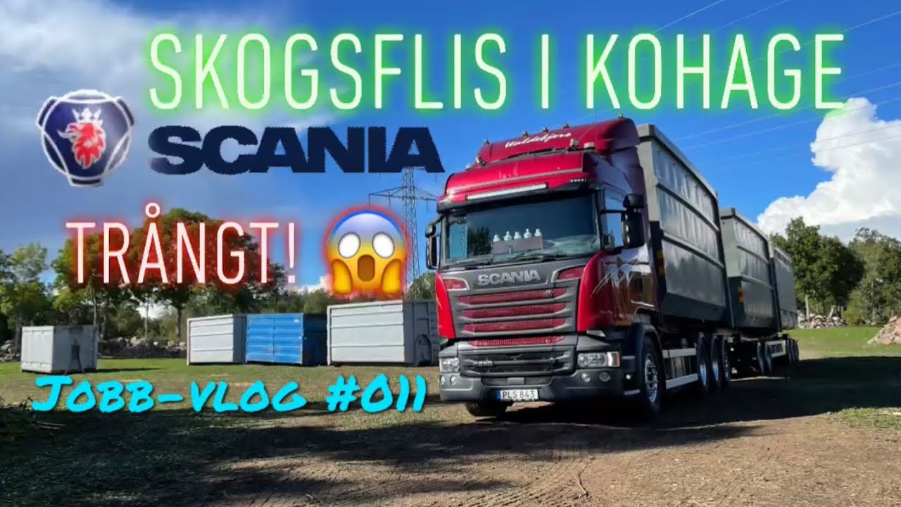 Skogsflis i kohage