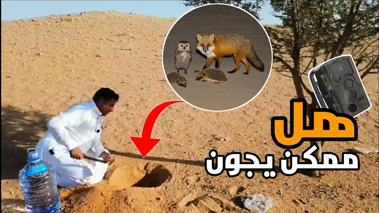 سقي الماء في الصحراء للكائنات الفطريه