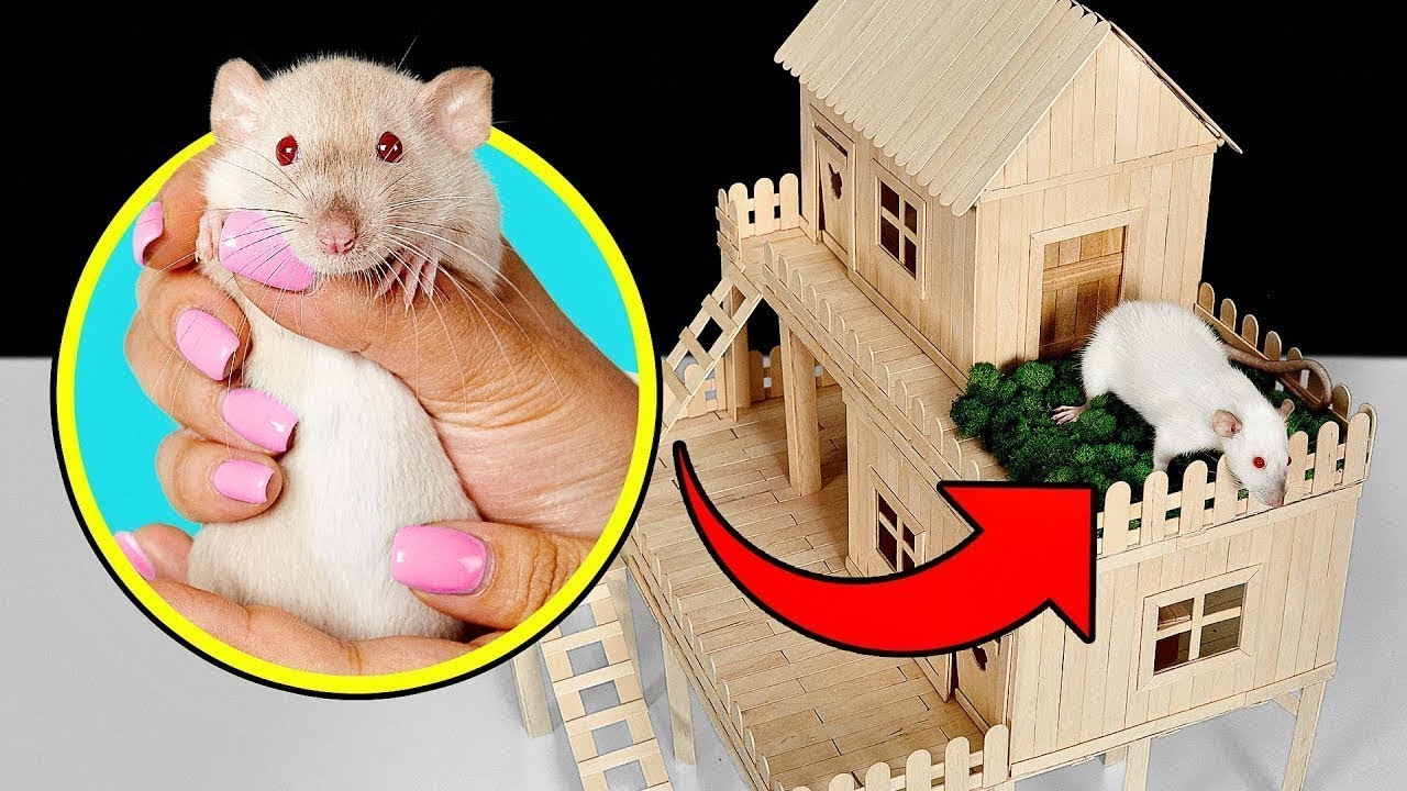 Como fazer uma casinha de ratos com palitos de picolé