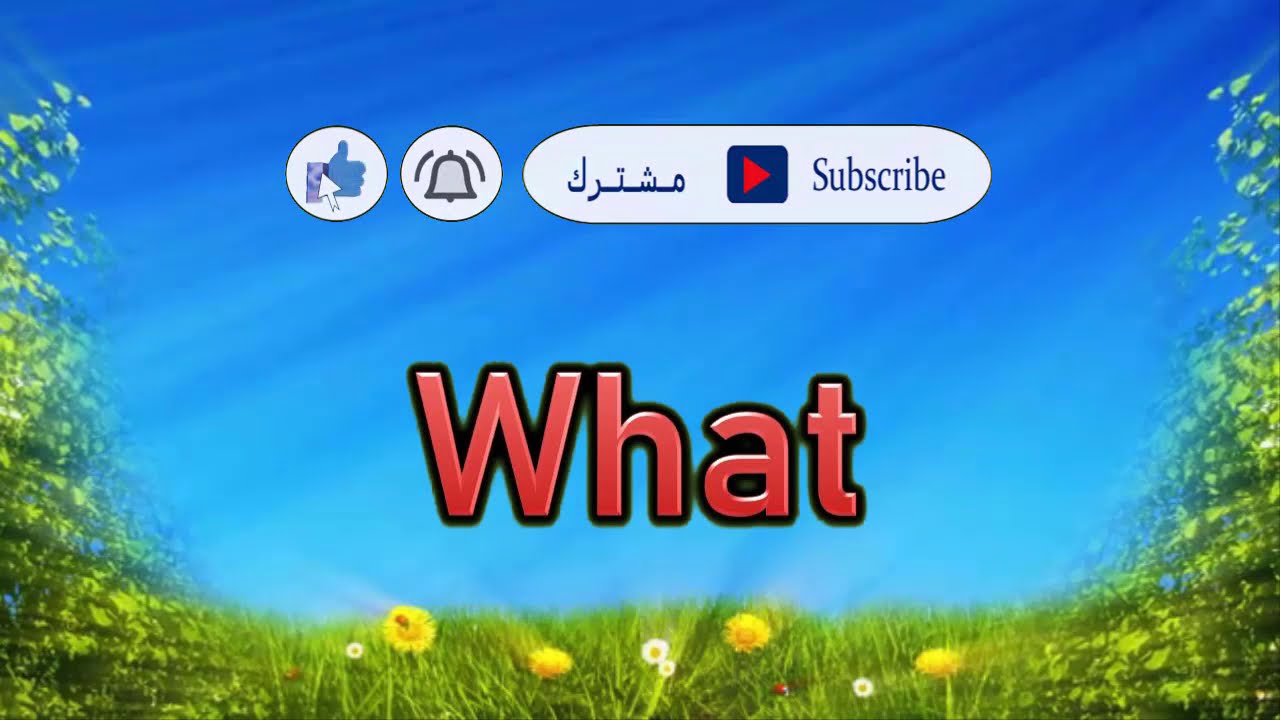 معنى كلمة  What