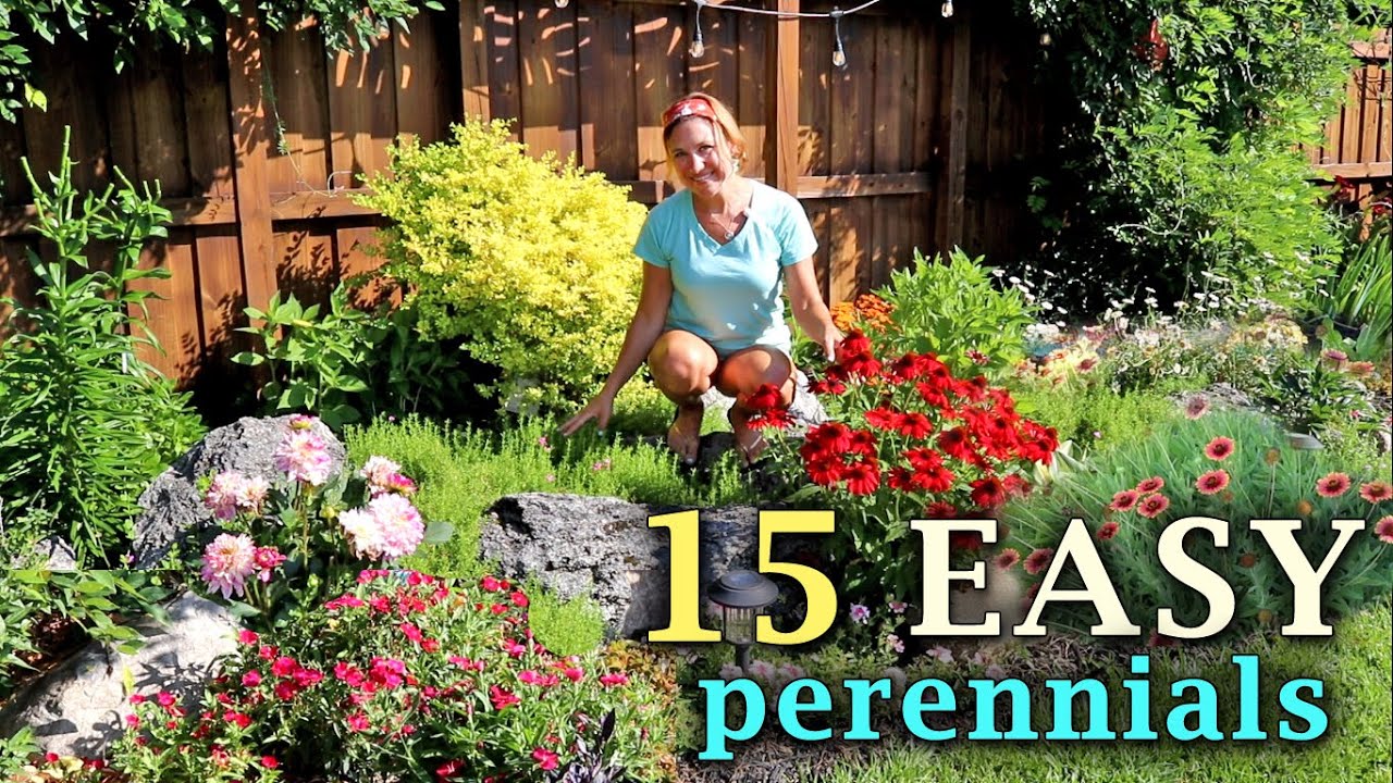 15 EASY perennials to grow & divide | My Carolina Garden