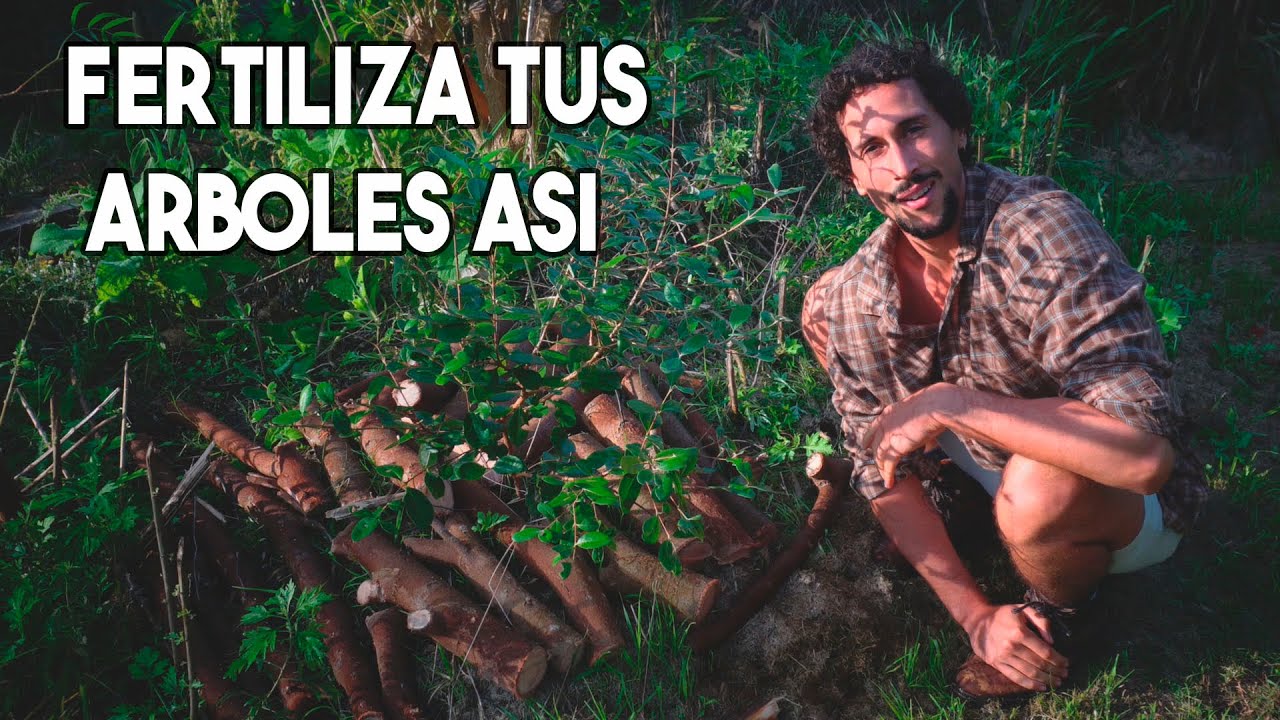 Asi FERTILIZA & REGENERA La NATURALEZA - Bosques de Alimentos