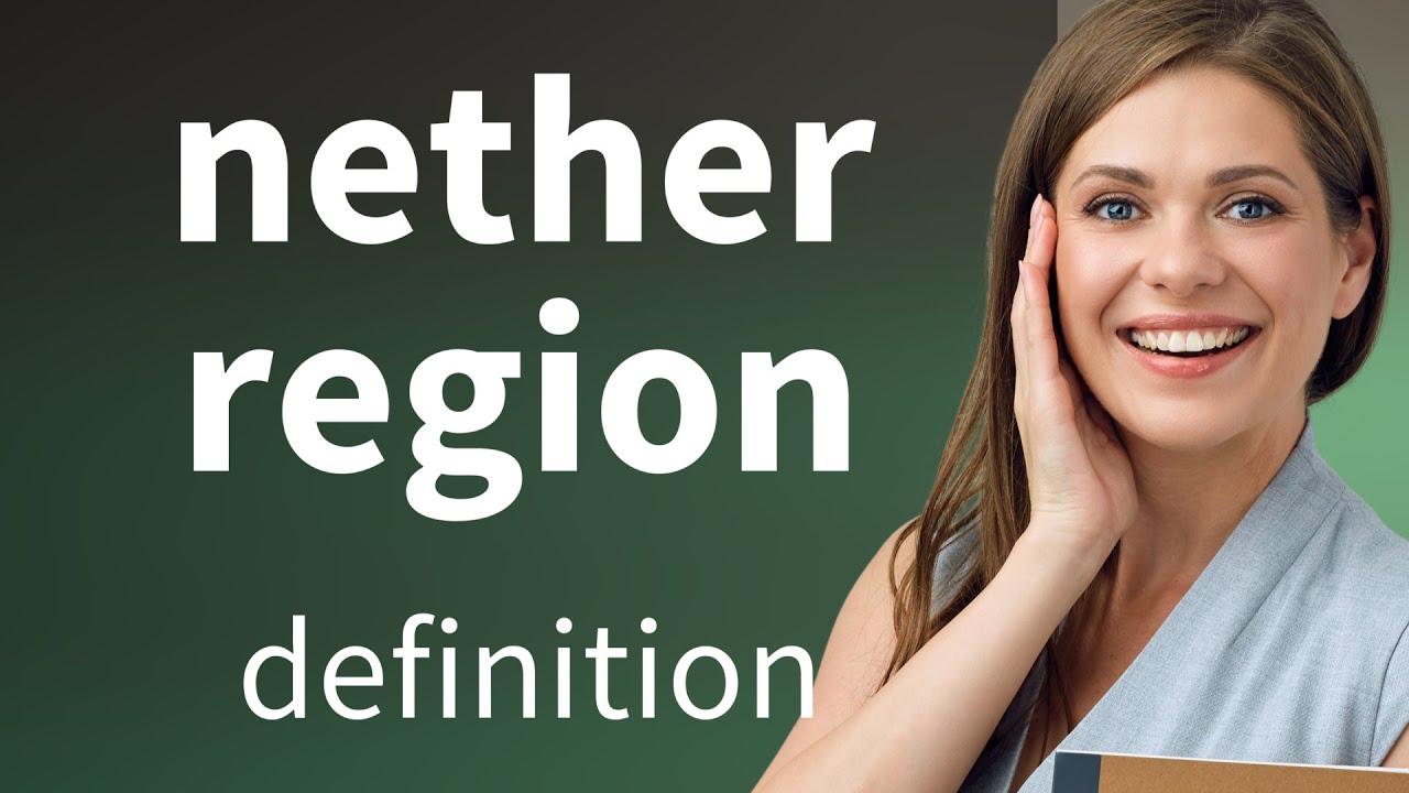 Nether region &bull; what is NETHER REGION definition