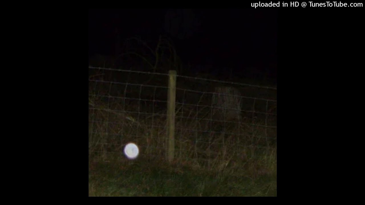 Orbs