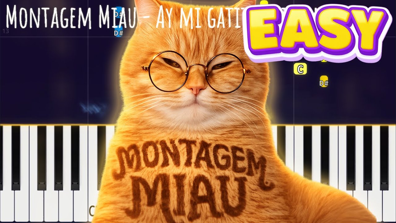 Montagem Miau – Ay mi gatito miau miau | Easy Piano Tutorial