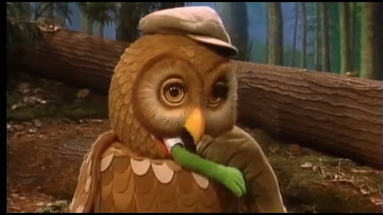 Inside's Mouth Owl Eat Frogs the Sora 2